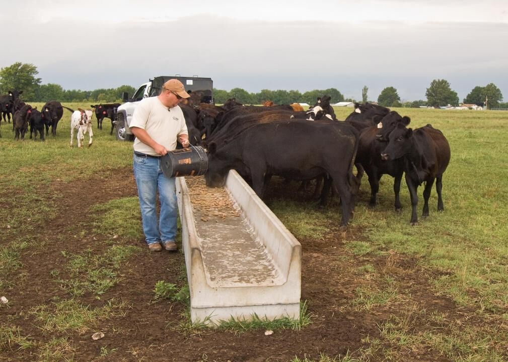 #65. Farmers, Ranchers, and Other Agricultural Managers